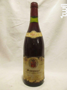 Michel Delorme - Domaine Michel Delorme - 1985 - Rouge