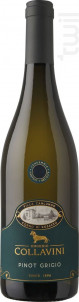 Villa Canlungo Pinot Grigio - Eugenio Collavini - No vintage - Blanc