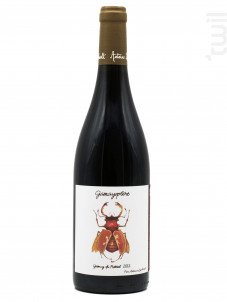 Gamayoptère - Domaine Antoine Lienhardt - 2023 - Rouge