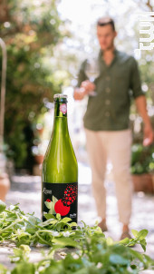 Pet Nat (Pétillant Naturel) - Domaine Ricardelle de Lautrec - 2024 - Effervescent