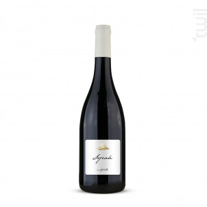 Syrah - Divine Sybille - 2023 - Rouge