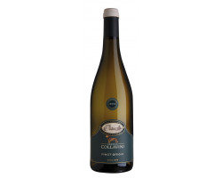 Villa Canlungo Pinot Grigio - Eugenio Collavini - No vintage - Blanc