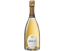 Blanc de Blancs - Champagne Brice - No vintage - Effervescent