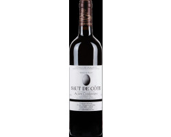 Saut de Côte - Domaine Alain Chabanon - 2011 - Rouge