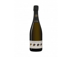 ECLIPSE N°10 - Champagne André Roger - No vintage - Effervescent