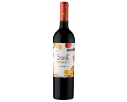 Secret - carmenere - VIU MANENT - 2022 - Rouge