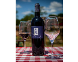 Eugénie - Château Méric et Chante l'oiseau - 2019 - Rouge