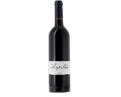 P.n.1328 Pinot Noir - Ampelidae - 2022 - Rouge