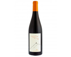 Raisins Migrateurs - DOMAINE DE BELLIVIERE - 2022 - Rouge