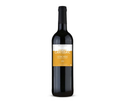Château Cantegric - Château Cantegric - 2018 - Rouge