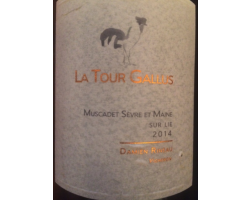 La Tour Gallus - Domaine Gorges - Damien Rineau - 2013 - Blanc