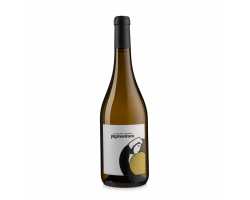 Pigmentum Ugni Blanc/colombard - Pigmentum - 2023 - Blanc