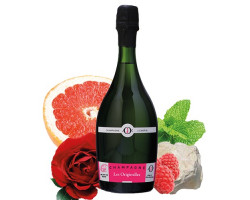 Les Orginelles Blanc de Rosé 1er Cru Brut - Champagne Julien Chopin - No vintage - Effervescent