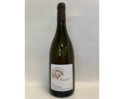 Ammonite - Vignoble Alain Robert - 2023 - Blanc