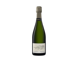 Franck Bonville Brut Blanco - Champagne Franck Bonville - 2015 - Effervescent