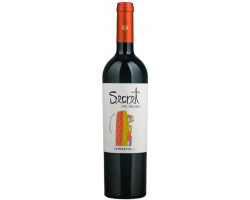Secret - carmenere - VIU MANENT - 2021 - Rouge