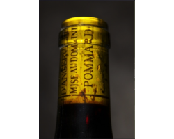 Pommard Premier Cru Combes Dessus - Domaine Marquis d'Angerville - 2019 - Rouge