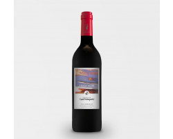 Pinot Noir - Domaine de Lastronques - 2022 - Rouge