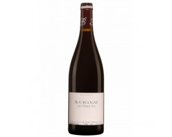 Bourgogne Pinot Noir Les Pince Vin - Domaine Alain Burguet - No vintage - Rouge