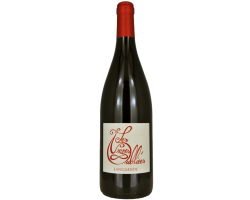Autour de Cinsault - LES VIGNES OUBLIEES - 2024 - Rouge