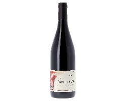 Saint Joseph - Pierre Gaillard - 2021 - Rouge