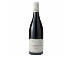 La Goujonne - Domaine Hubert Lamy - 2021 - Rouge