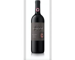 Clemente VII Riserva - Castelli del Grevepesa - 2020 - Rouge