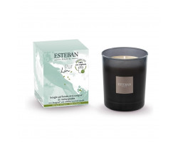 Bougie Initiale Pur Lin 180g - esteban -  - 