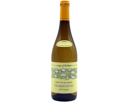 Dans l'air du Temps Chardonnay - Jeff Carrel - 2023 - Blanc