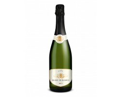 Blanc De Blancs Brut - Michel Kurtz - No vintage - Blanc