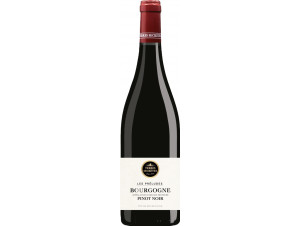 Pinot Noir Bourgogne - Vignerons des Terres Secrètes - 2022 - Red