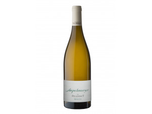 L’Ampélomeryx - Domaine de Pellehaut - 2021 - White