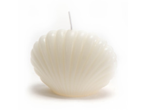 Bougie Coquillage Crème lot De 8 - Amadeus -  - 