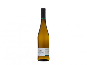 Rabigato - Quinta do Ventozelo - 2022 - White