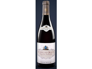 Savigny-les-Beaune Premer Cru Les Peuillets - Albert Bichot - 2021 - Red