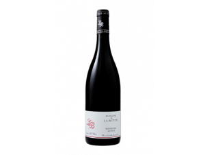 Saumur Champigny Les Févettes - Domaine de la Butte - 2020 - Red