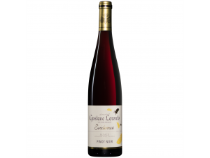 PINOT NOIR EVIDENCE BIO - Gustave Lorentz - 2022 - Red