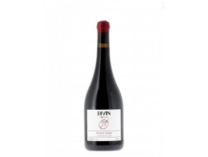 Pinot Noir 0.5% - Divin Nolow -  - 