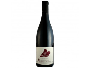Saumur Champigny Clos de l'Echelier - Thierry Germain - Domaine des Roches Neuves - 2018 - Red