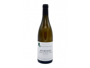 BOURGOGNE Hautes Cotes de Beaune - Domaine Jean Guiton - 2019 - White
