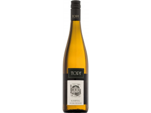 Gruener Veltliner Gaisberg Kamptal Dac Reserve 1ötw - Johann Topf - No vintage - White