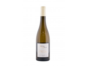 Le Clos de la Thibaudière - Domaine de Rocheville - 2023 - White