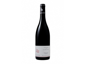 Saumur Champigny Tuffe - Domaine de la Butte - 2020 - Red