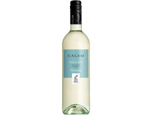 Pecorino Caleo - Botter - No vintage - White