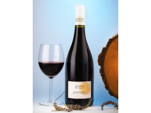 Côtes Du Rhône Villages Plan De Dieu - Les heritiers Albert Bernard - 2021 - Red