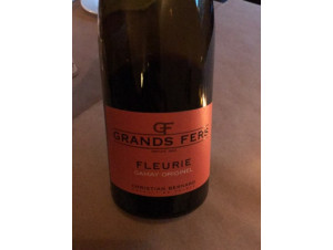 Gamay Originel So2 - Domaine Grands Fers - 2023 - Red