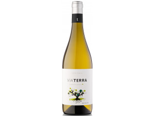 Via Terra - Edetària - 2024 - White