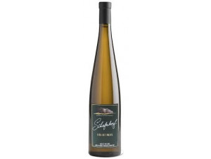 Riesling Lieu-dit Buehl - Maison M.Chapoutier - Domaine Schieferkopf - 2019 - White
