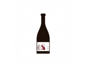 Touraine Chenonceaux rouge - Domaine du Clos Roussely - 2023 - Red