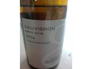 Sauvignon Saint-Bris - Domaine Céline & Frédéric Gueguen - 2023 - White